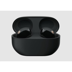 BAZAR - Sony bezdrôtové slúchadlá WF-1000XM5, černá, EU - Po opravě (Bez příšlušenství)