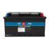 Avacom A2D2 baterie LiFePO4 12,8V 100Ah F15 SELF-HEAT Car Battery Case (REPT cells)