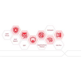 Zyxel LIC-Gold 1Y for USG FLEX 200H/200HP