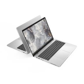 Dell Pro 16 Plus PB16250/U7-268V/32GB/512 GB SSD/16" FHD+/IR Cam & Mic/FgrPr/SmtCd/3 Cell/WLAN/vPro/W11 Pro/3Y ProSpt