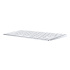 Apple Magic Keyboard - SK (USB-C)