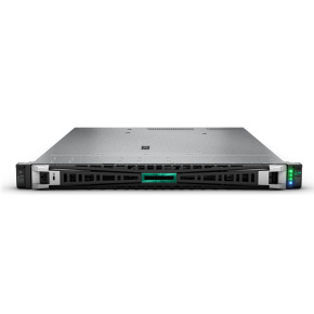 HPE DL325 G11 9124, 64 GB, 2 x 480 GB SSD, RPS