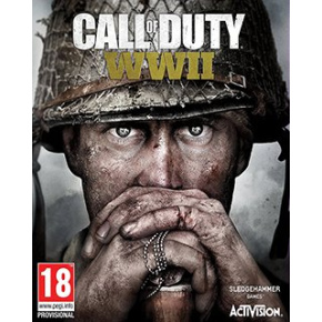 Call of Duty WWII (PC) Steam Key