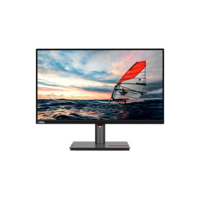 Lenovo P25i-30 24.5" 1920x1080 1300:1 250N 4ms HDMI+DP+USB lift 3y