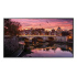 85'' LED Samsung QB85C - UHD,300cd,MI,16/7