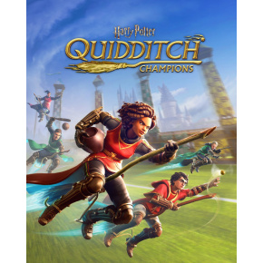 Harry Potter Quidditch Champions (PC) Steam Key