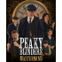 Peaky Blinders Mastermind (PC) Steam Key