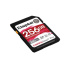256GB SDXC UHS-II Kingston U3 V60 280R/150W
