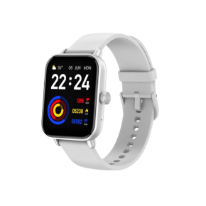 CARNEO Versa HR+/Silver/Šport Band/White