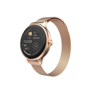 CARNEO Hero mini HR+/Rose Gold/Elegant Band/Rose Gold