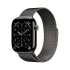 Apple Watch S11 Cell/46/Elegant Band/Slate