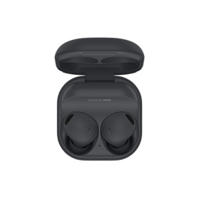 Samsung Galaxy Buds 2 Pro Grey