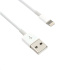 Kábel C-TECH USB 2.0 Lightning (IP5 a vyšší) nabíjací a synchronizačný kábel, 1m, biely