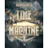 Airport Madness Time Machine (PC) Steam Key