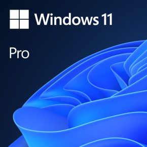 MS Windows 11 Professional pre Wrkstns 64Bit Eng Intl 1pk OEM DVD