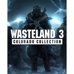 Wasteland 3 Colorado Collection (PC) Steam Key