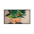 43'' D-LED Philips 43BDL4650D-UHD, IPS, 500cd, AN, 24/7