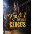 The Amazing American Circus (PC) Steam Key