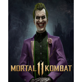 Mortal Kombat 11 The Joker (PC) Steam Key