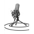 TRUST Microphone GXT 242 Lance Streaming Microphone