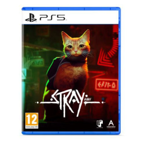 PS5 Stray