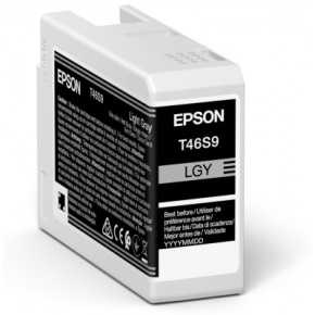 Epson Singlepack Light Gray T46S9 Ultrachrome