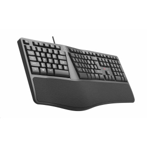 C-TECH Klávesnice KB-113E USB, ERGO, černá, CZ/SK C-TECH Klávesnice KB-113E USB, ERGO, černá, CZ/SK