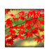 Autumn (PC) Steam Key
