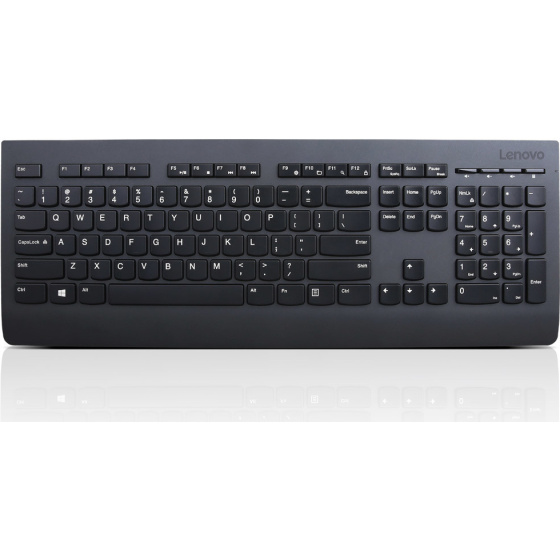 Lenovo Professional Wireless Keyboard - Slovak (245)