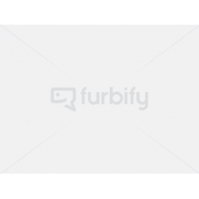 Notebook Lenovo ThinkPad T14 Gen 1 - Repas Notebook Lenovo ThinkPad T14 Gen 1 - Repas