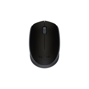 Logitech M171/Kancelářská/Optická/Bezdrátová USB/Černá