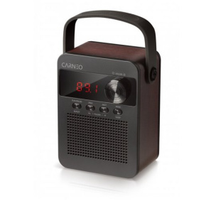 CARNEO F90 FM rádio, BT reproduktor, black/wood