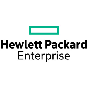 HPE ML110 Gen11 NS204i-u Enable Kit