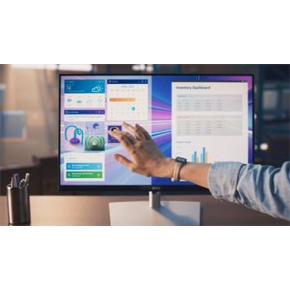 24'' LCD Dell P2424HT Touch 5ms/16:9/matný/USB-C